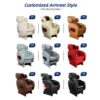 Customized RX03 Pedicure Chair Armrest Color